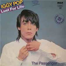 Skull ring is the fourteenth studio album by american rock singer iggy pop, released in november 2003. Iggy Pop Lust For Life The Passenger Flac Download