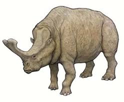 Art Illustration Prehistoric Mammals Embolotherium Is A Belonging To The Family Of The Brontoteridos Wh Mammals Prehistoric Animals Dinosaurs Prehistoric
