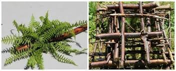 Your preschoolers also might enjoy some outdoor water activities. 20 Outdoor Activities That Preschoolers Will Love