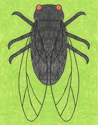 When we think of october holidays, most of us think of halloween. Easy How To Draw A Cicada Tutorial And Cicada Coloring Page Art Projects For Kids