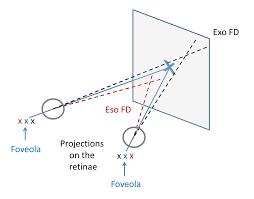 Image result for Visual Fixation