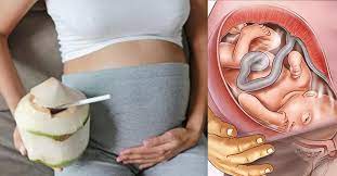 12 Benefits Of Drinking Coconut Water During Pregnancy