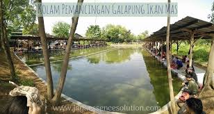 Racikan Umpan Jitu Ikan Mas Galapung Terbukti Mantap Dengan Bahan Bahan Pilihan Terbaik Seperti Dari Jaya Essen Tentunya Mampu Meningkatkan Ikan Mas Ikan Kolam
