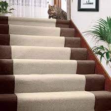 Pin By Amber Archer On New Home How To Clean Carpet Carpet Cover Carpet Cleaning Hacks
