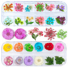 On the street of southeast maricamp road and street number is 9355b. 3d Dry Flowers Summer Nail For Art Supply Nails Jacksonville Mall M Beauty
