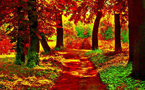 Beautiful Wallpapers For Desktop Full Screen Desktop Wallpaper Nature Full Screen 664138 Hd Wallpaper Backgrounds Download Flowers, with their multitude of beautiful colors and various shape are an amazing soothing factor for our eyes.