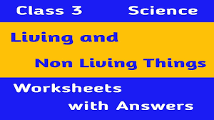 We did not find results for: Living And Non Living Things Class 3 Science Worksheet Science Worksheet Grade 3 Youtube