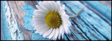 Black And White Flower Facebook Cover Photos Pin By Michelle Adams On Simple Facebook Cover Photos Facebook Cover Photos Facebook Cover Images Twitter Cover Photo