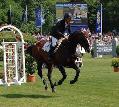 That is why he has a large fan base around the world. Rolf Goran Bengtsson Wikipedia
