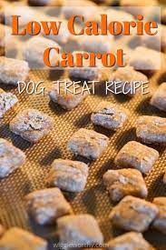 Low calorie pumpkin spinach dog treats. Easy Low Calorie Carrot Dog Treats Recipe Healthy Dog Treats Homemade Dog Recipes Dog Treats Grain Free