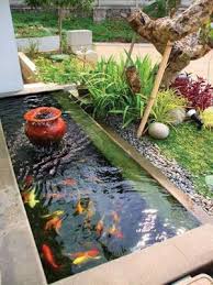 Desain Kolam Ikan Minimalis Kolam Ikan Water Feature Kolam