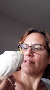 How many have named a pet after a pokemon???? Here is my daughter Pikachu