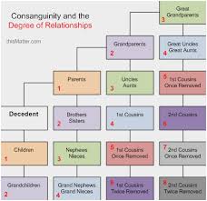 11 Qualified Broward Countyu Probate Flow Chart