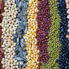 Where can i find free seeds for my garden? A Sharing Economy For Plants Seed Libraries Are Sprouting Up