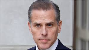 Harry Sisson Roasted Over Hunter Biden Photo