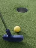 Image result for what is the difference between mini golf and putt putt