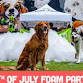 4th of July Foam Party