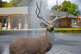 We did not find results for: Cherry Valley Lakes Rv Campground 3 Photos 3 Reviews Beaumont Ca