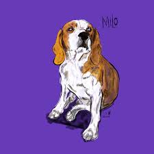 Dog Drawing 29 March 2018 Milo The Beagle The Wander Paws Download 2,100+ royalty free cute beagle vector images. dog drawing 29 march 2018 milo the