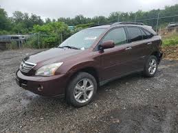 Image result for Brandywine 2008 RX