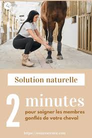 Membre Du Cheval Qui Engorgent La Solution Naturelle Cheval Anatomie Du Cheval Ethologie