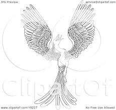 In design fundamentals we are making pages for a group coloring book. Clipart Illustration Of A Black And White Coloring Page Of A Magical Flying Phoenix Bird By Atstockillustration 19227
