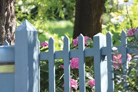 Check spelling or type a new query. Blue Garden Fence And Pink Flowers Photograph By Holumia