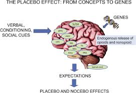Image result for Placebo Effect