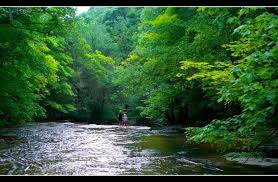From eastern plains parks at. Blue Jay Campground Camp Creek Wv 1 Hipcamper Review