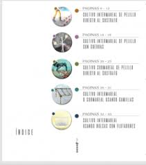 IFOP pone a disposición interesante Manual de Cultivo para acuicultores de  pequeña escala