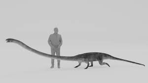 Image result for Tanystropheus