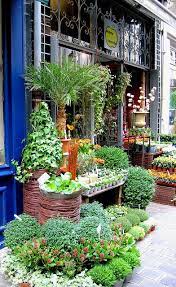 Little Plant Shop Plants Garden Shop Little Plants