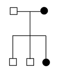 quiz worksheet pedigree analysis practice study com