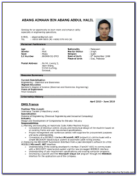 A simple resume format which is particularly written for a job application has some rules and regulations to be maintained. Professional Resume Format Download Pdf Vincegray2014
