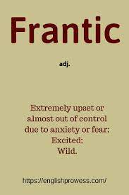 Frantic Meaning Learning English Online Learn English English Online