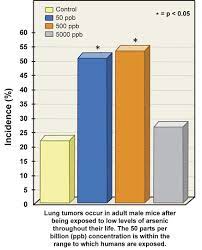 The main differences are the survival rate and. Low Doses Of Arsenic Cause Cancer In Male Mice National Institutes Of Health Nih