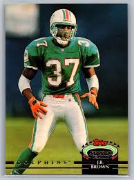 Image result for Brown 1992 Fleet