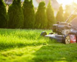 What is the ideal height to cut the grass? Recommended Lawn Mowing Heights By Season Spring Summer Fall Davey Blog