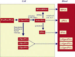 Image result for Free PSA