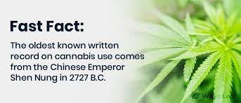 The best movies to watch when you're super high. Ask Yourself These Questions Next Time You Re High As Hell