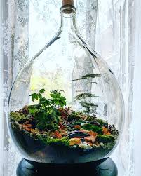 Terrarium Bottle Garden Bottle Garden Terrarium Garden Terrarium