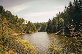 Stausee ottenstein mit ruine lichtenfels, waldviertel, niederösterreich, austria. Erfrischende Wanderung Am Ottensteiner Stausee Mit Vielen Badestopps Bademoglichkeiten Und Routen