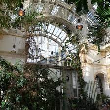 the imperial butterfly house vienna austria butterfly house dark green aesthetic plant aesthetic