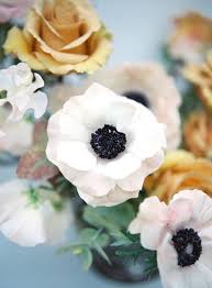 Leaves and flowers appear early, and leaves remain on the tree longer than on healthy trees. Well Loved Flower Substitutions For Popular Blooms