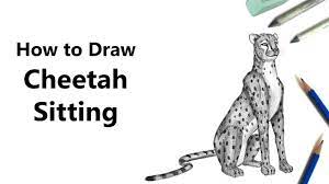All of these drawing cheetah realistic resources are for free download on yawd. How To Draw A Cheetah Sitting With Pencils Time Lapse Youtube