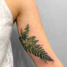 The best gifs are on giphy. Niedziela Fern Watercolortattoo Warsawtattoo Polandtattoos Nature Artist Yadou Tattoo Nature Tattoo Sleeve Half Sleeve Tattoo Nature Tattoos