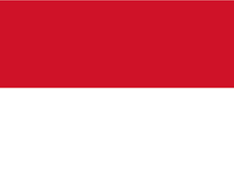 Oben rot und unten weiß. G20germany G20 Indonesia