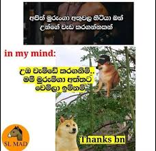 We did not find results for: New Fb Joke Post Sinhala 2020