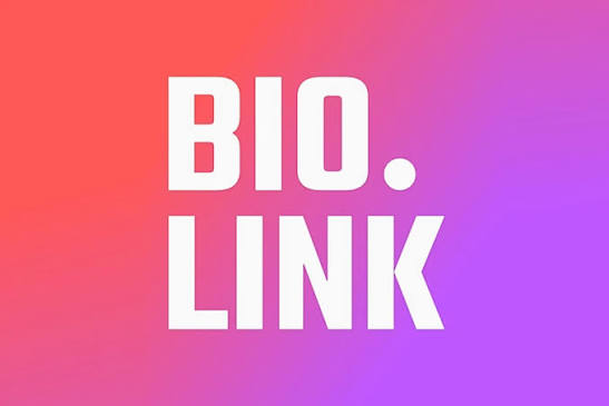 LINK BIO