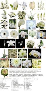 Wedding flowers white flowers names and pictures. Flower Information Modern Petals Blog White Flowers White Gardens Wedding Flowers